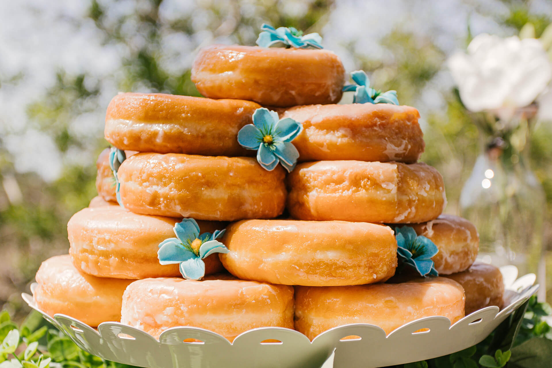 Donut