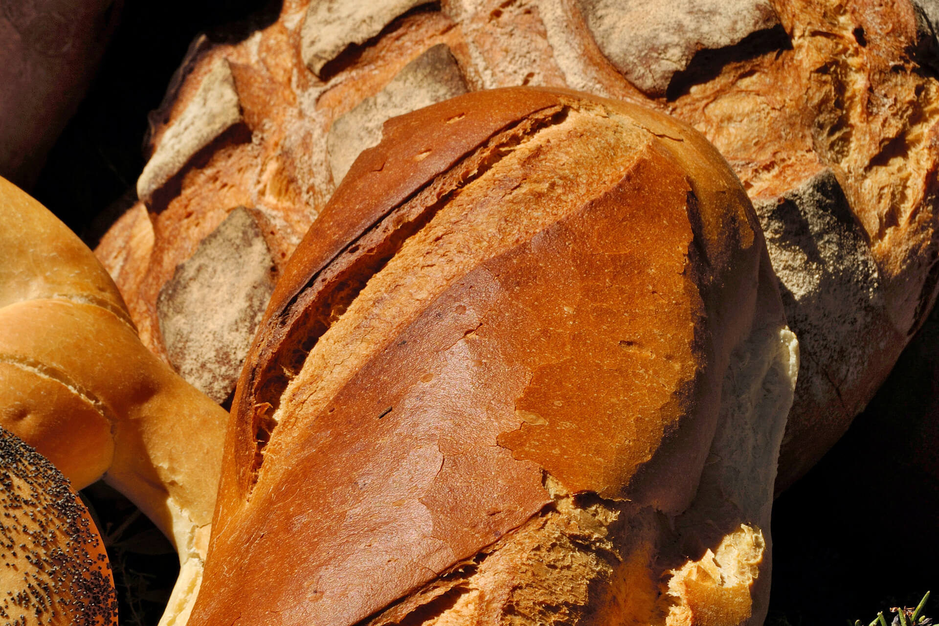 Rye Bread